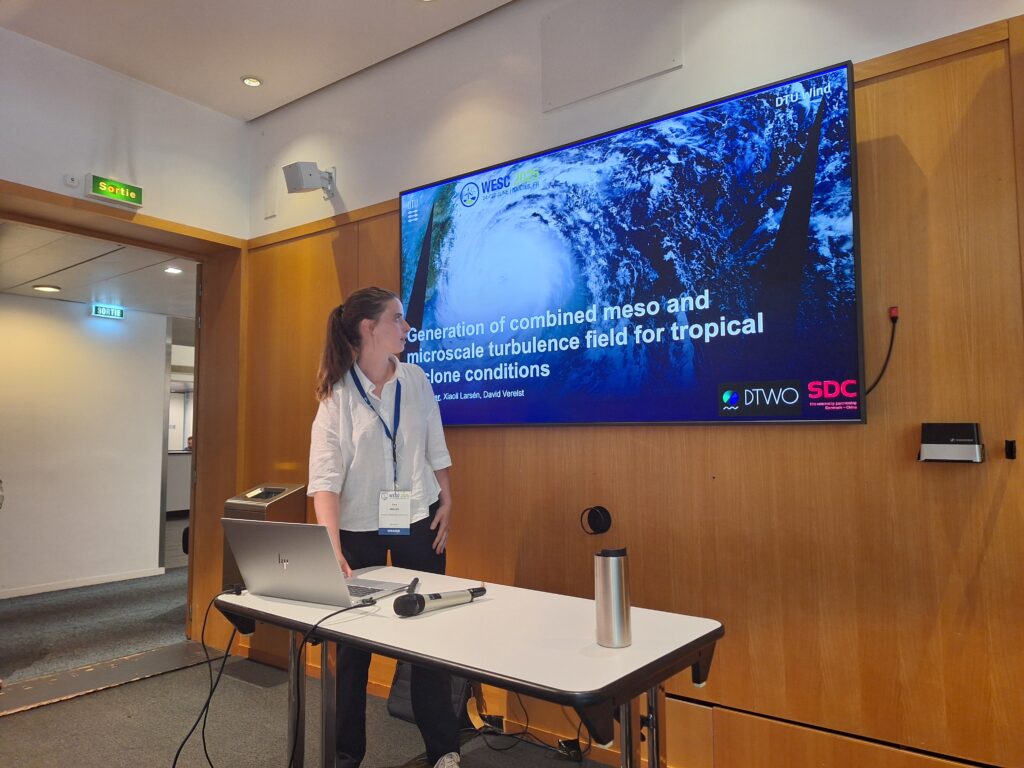 Sara Müller presenting at DTWO